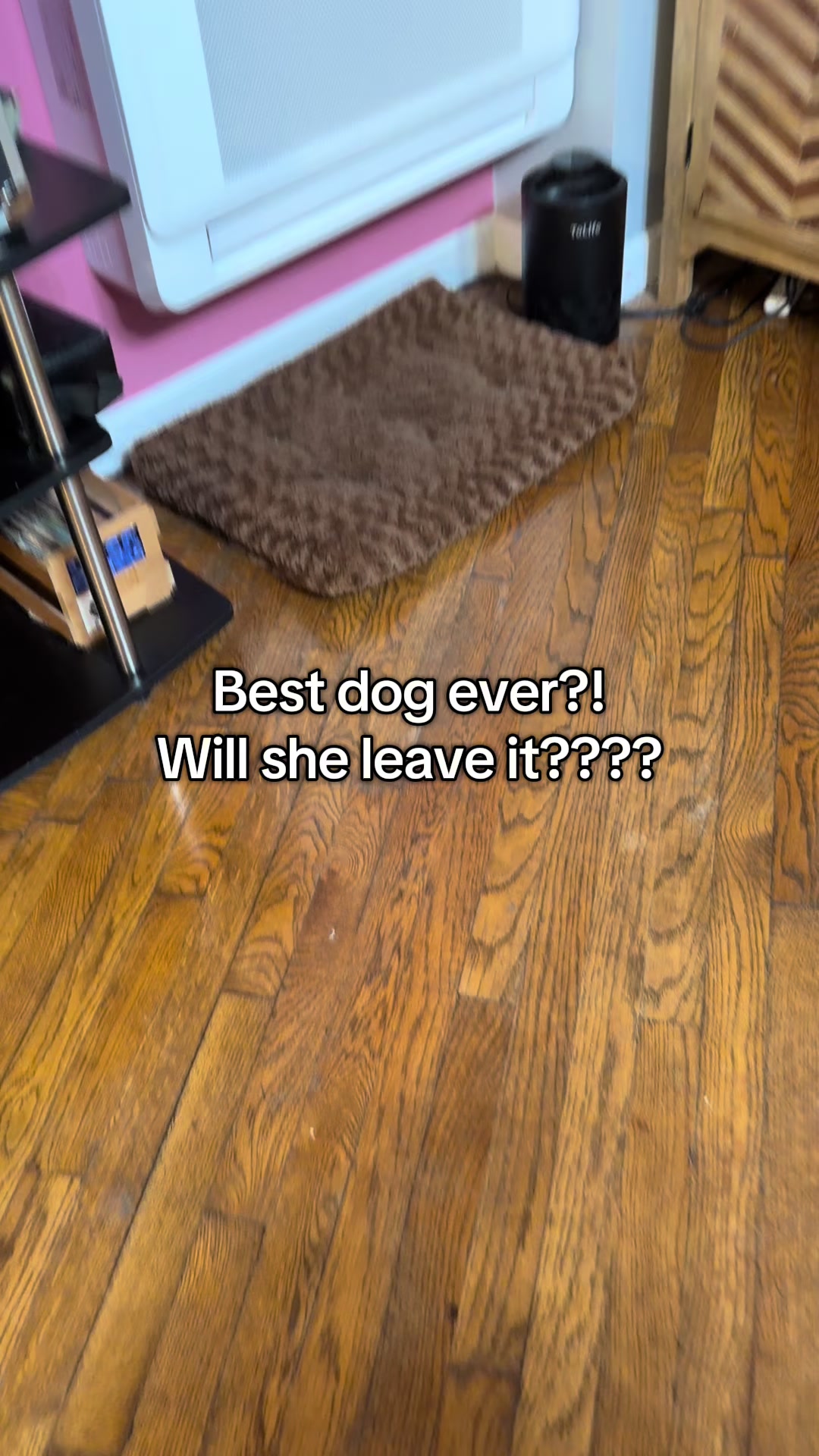 @Duuuviethedog