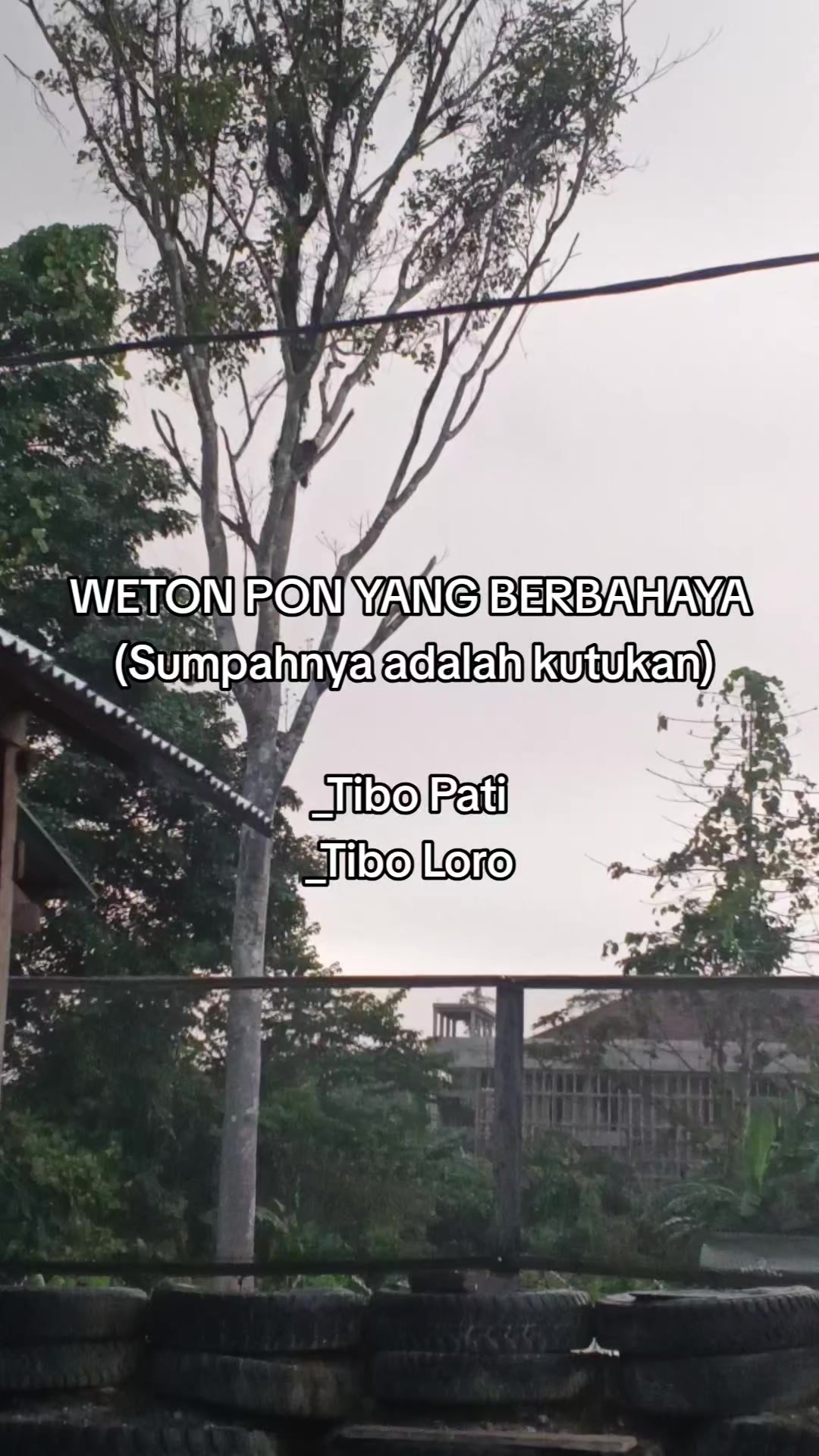 @Ardi project