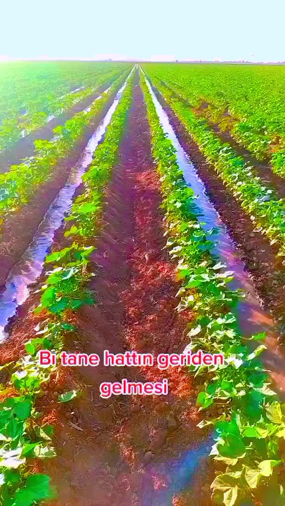 @🦅ibin halil🦅