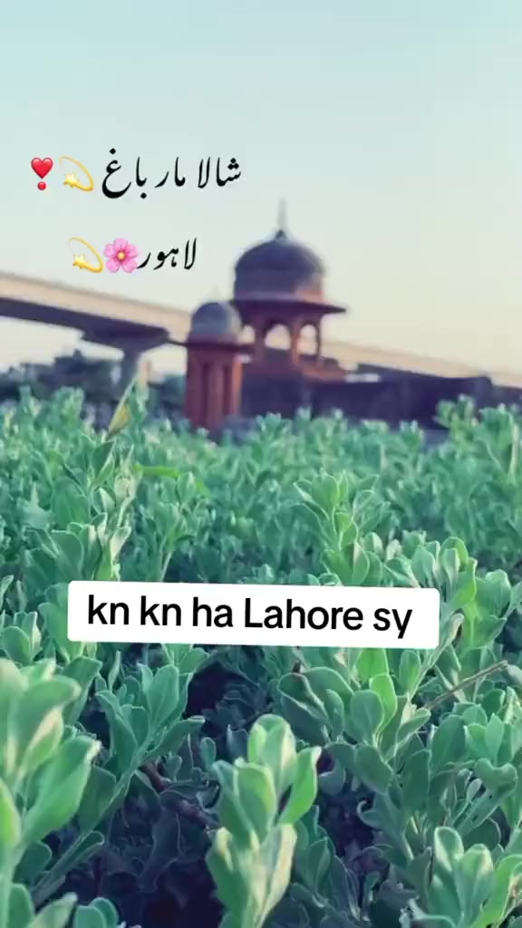 @Army_Person22