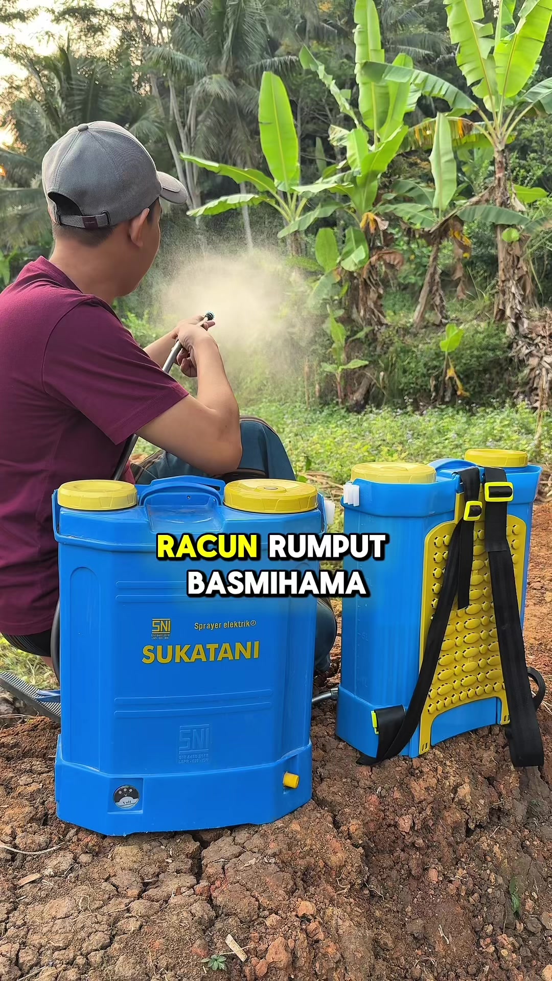 @Cepmuslih2711