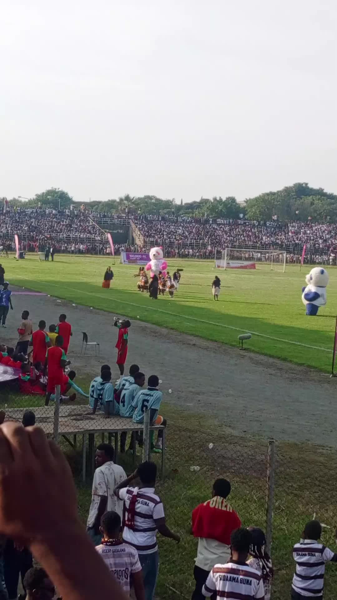 @Tamirat Tukela