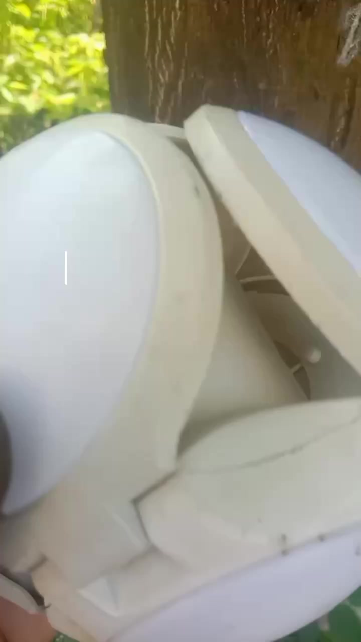 @Jelitaelectroshop
