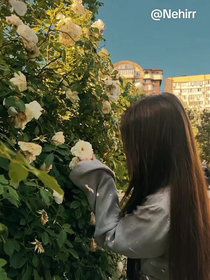 @✮✯Nehirr✯✮