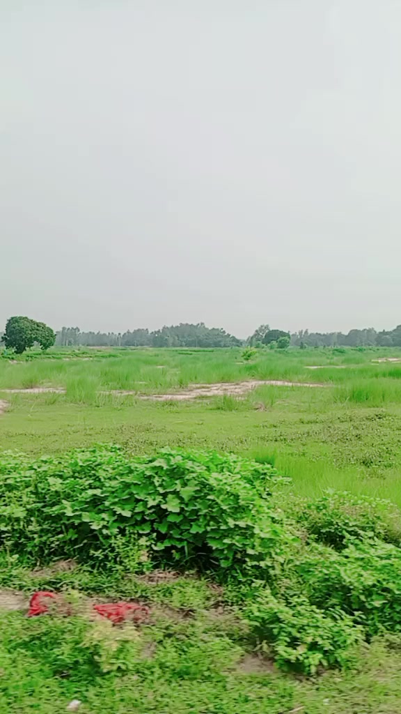 @Pyar mein Pagal