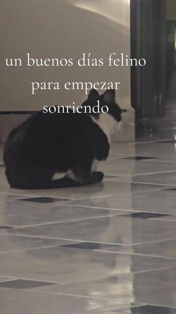 @Nelly vasquez