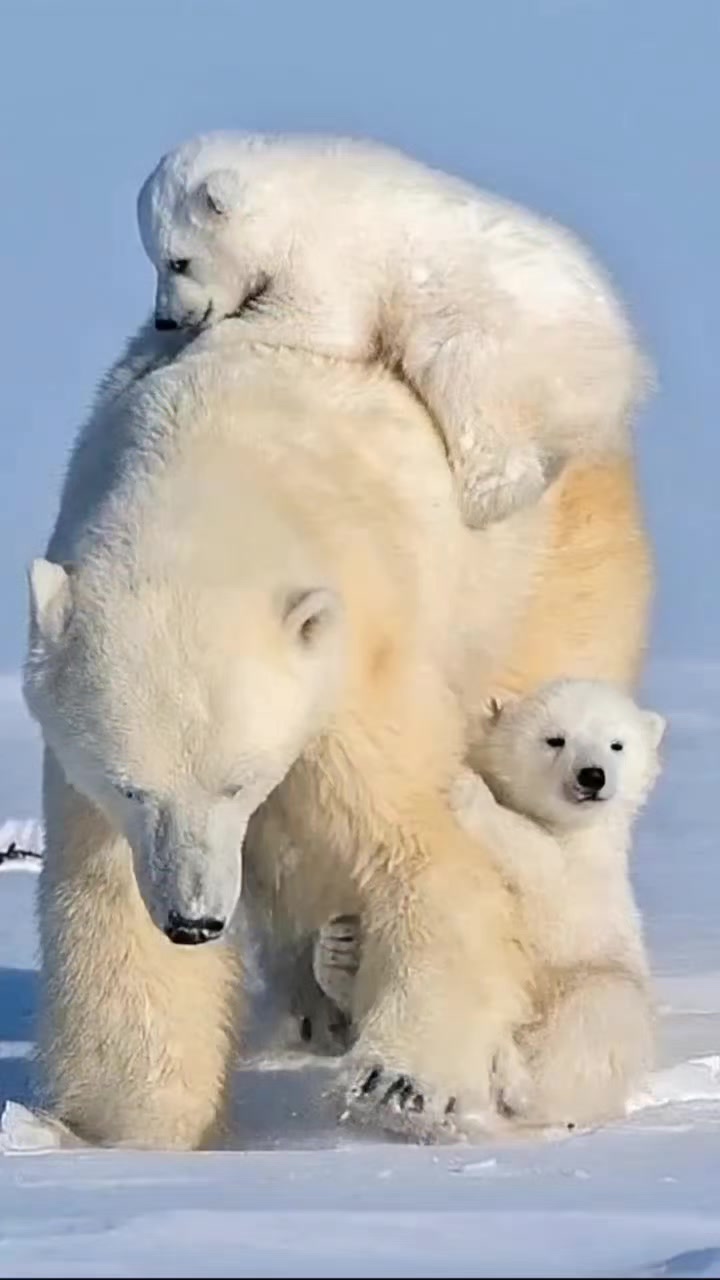 @Для тебя