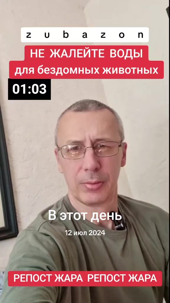 @КОТЫ СОБАКИ И ФИЛОСОФ