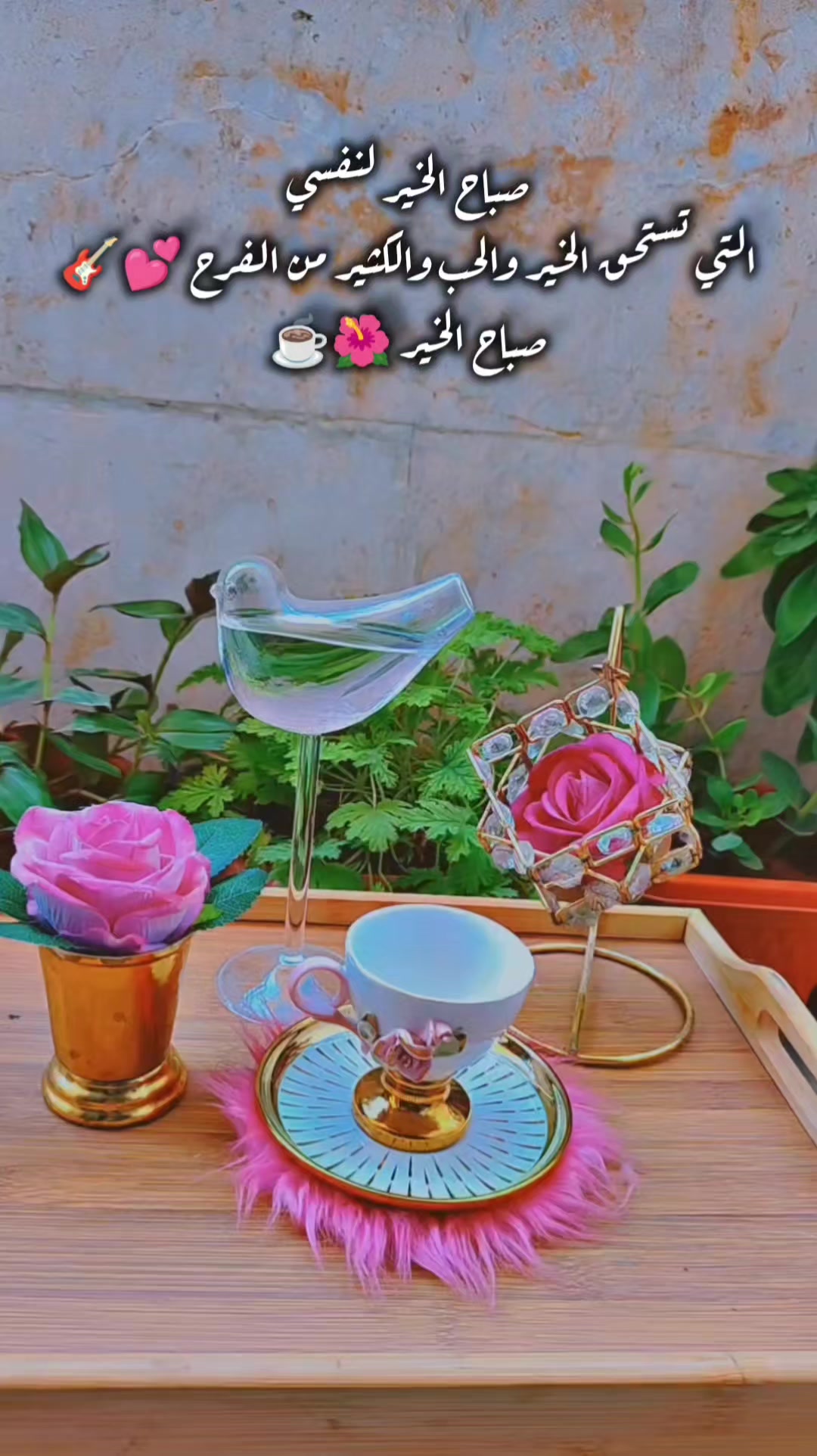 @عبير الورد🍃❤️