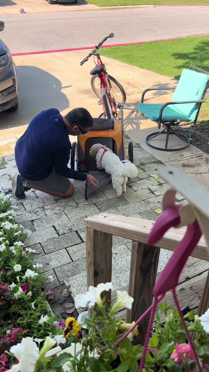 @AZUL🐶🥰