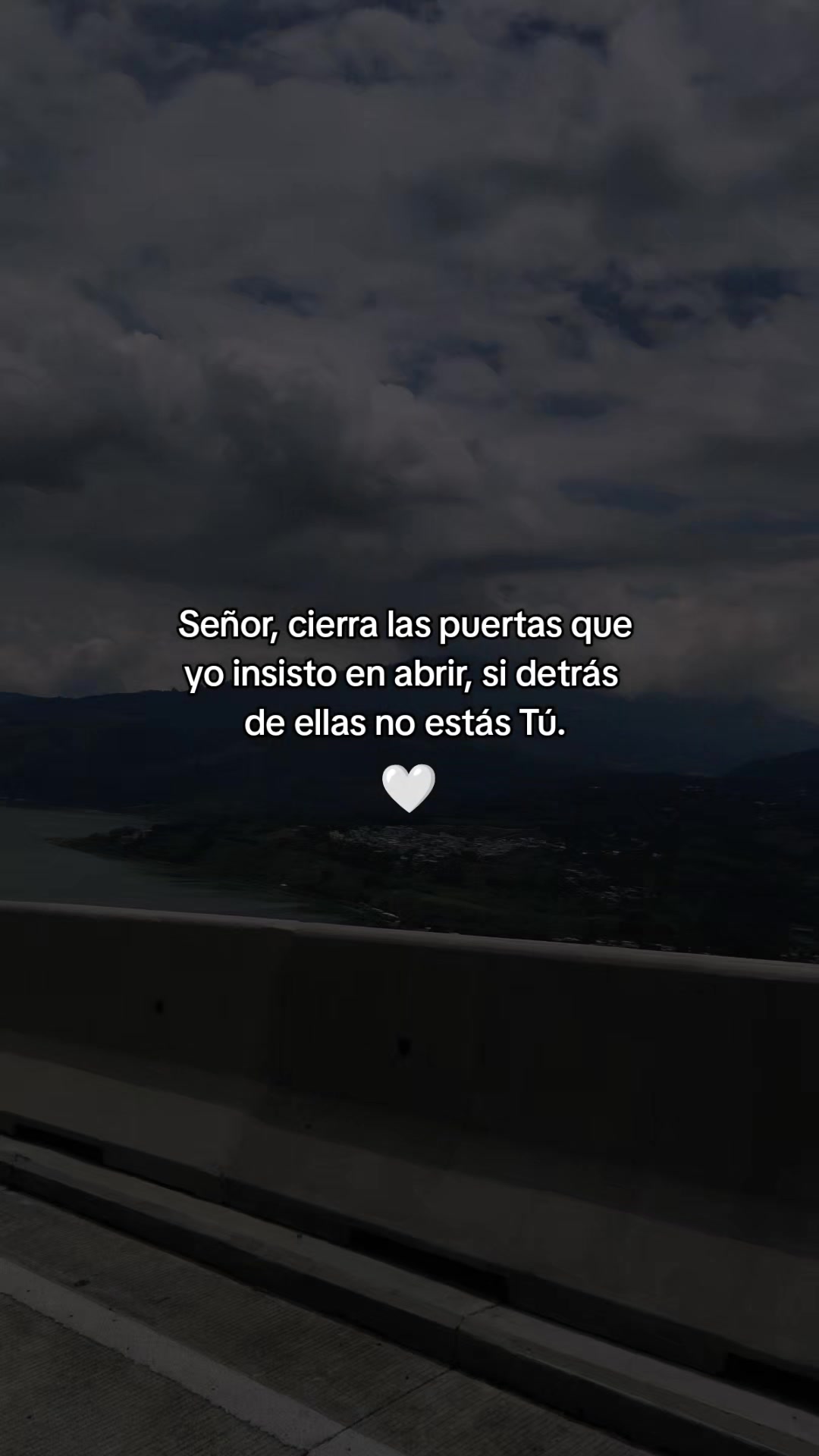 @Linda Cardona 🪼🪐