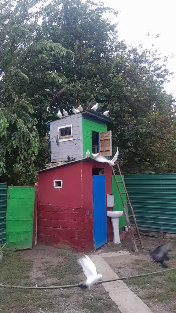 @tural məmmədov