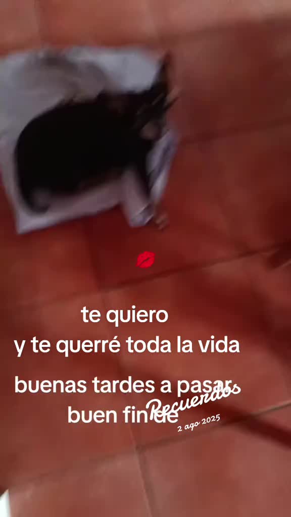 @Martín y Carlota