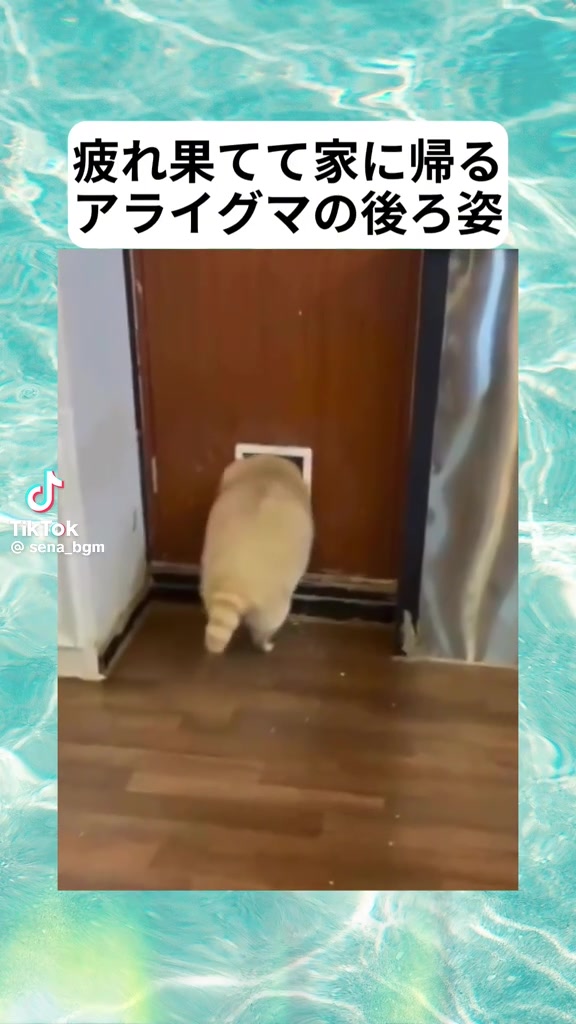 @とも