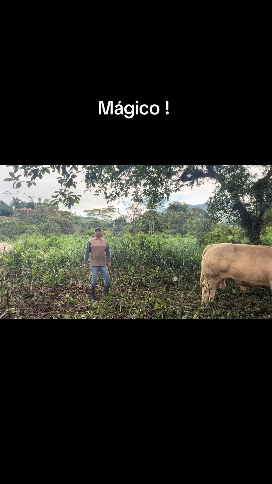 @Hernán Andres