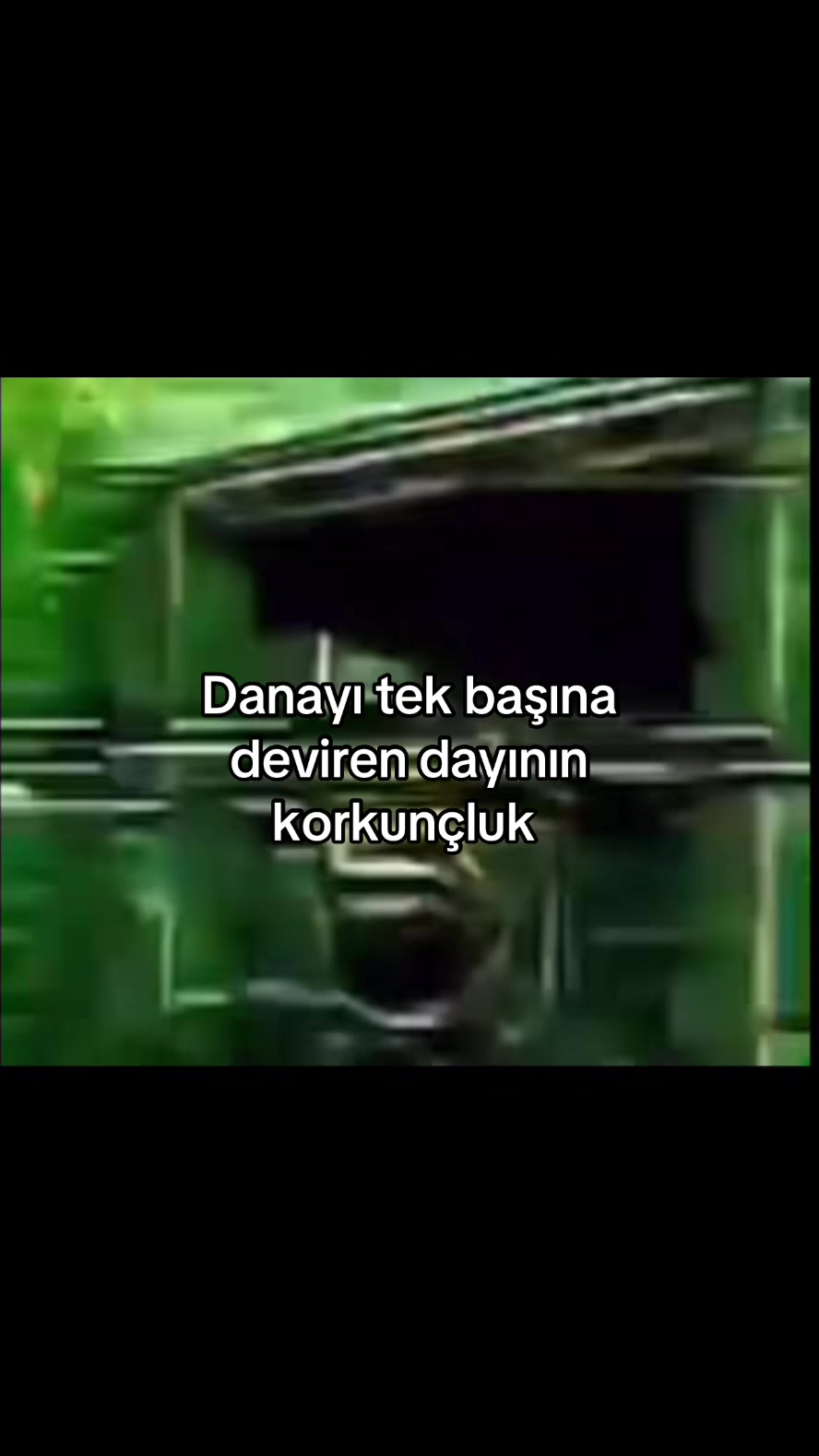 @Bizdir