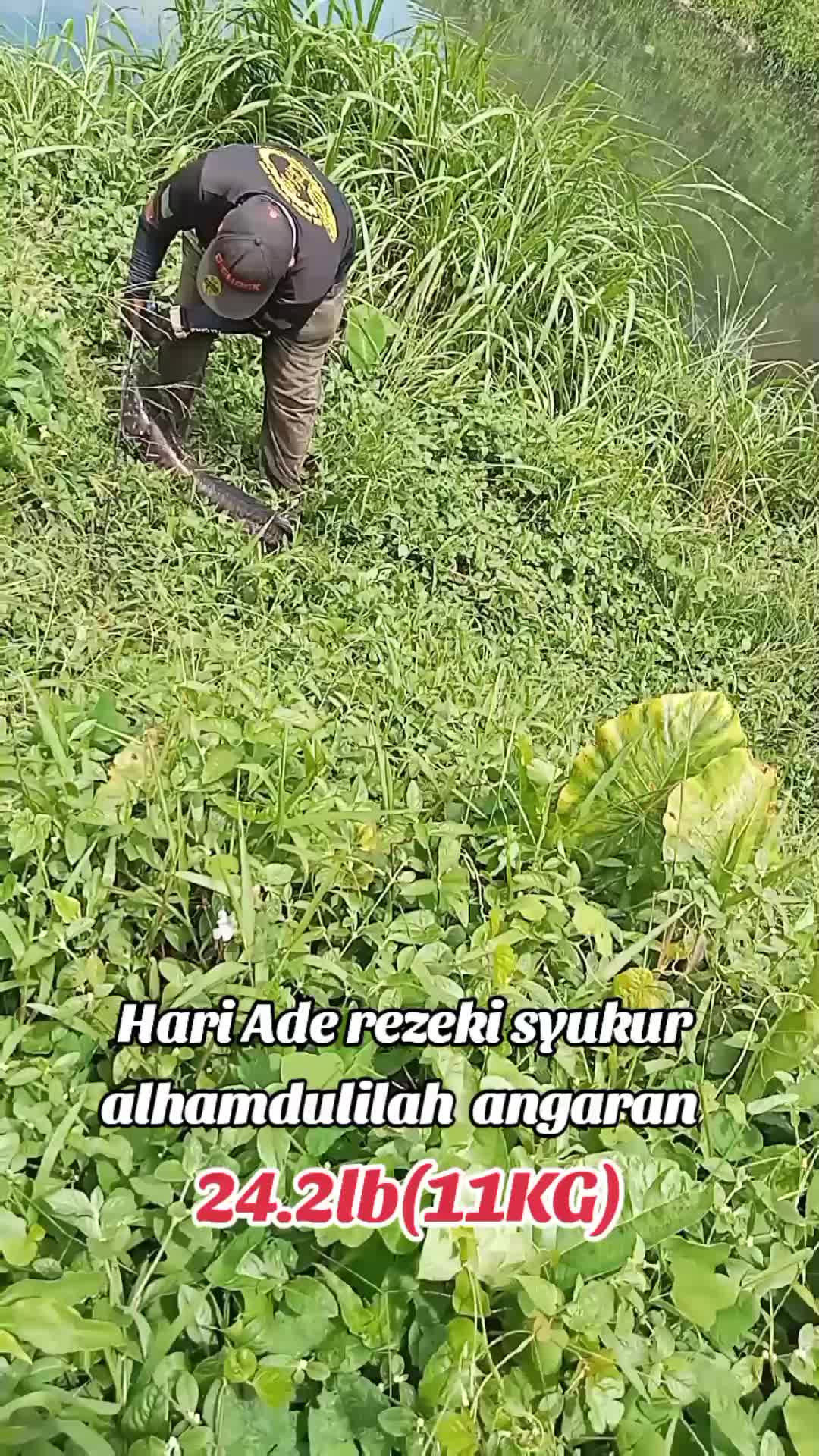 @⚠️WAK LU
