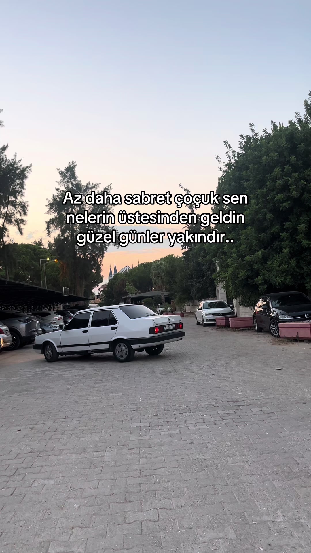 @ANT MOTOR