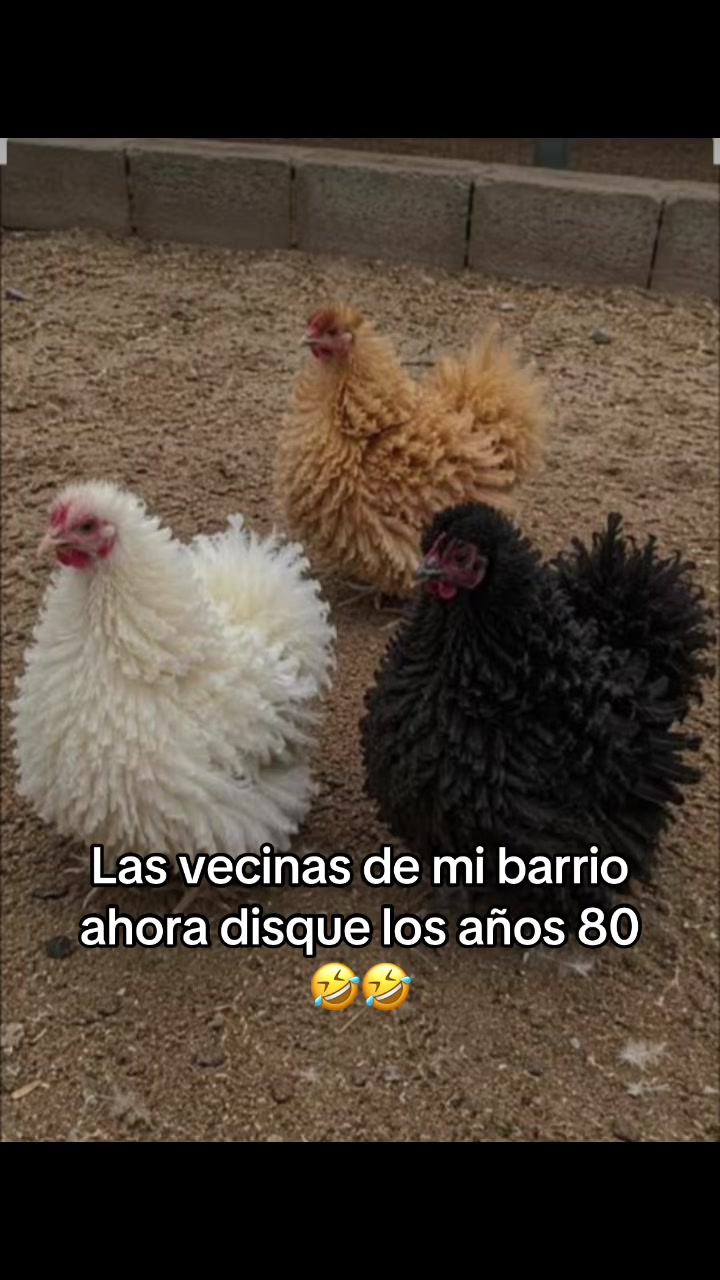 @luismamoreno