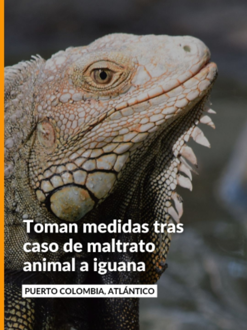 @Noticias Caracol