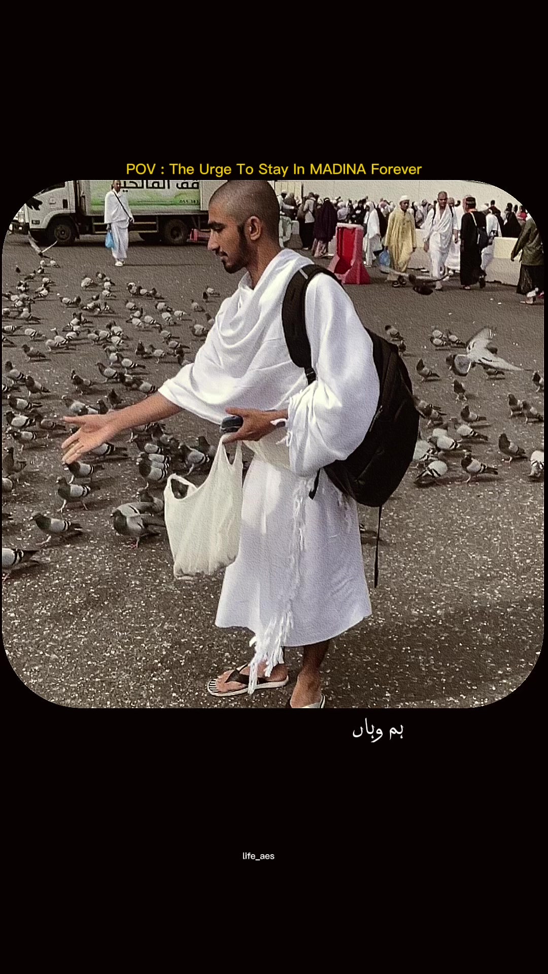 @سیٹھ زین الحسن