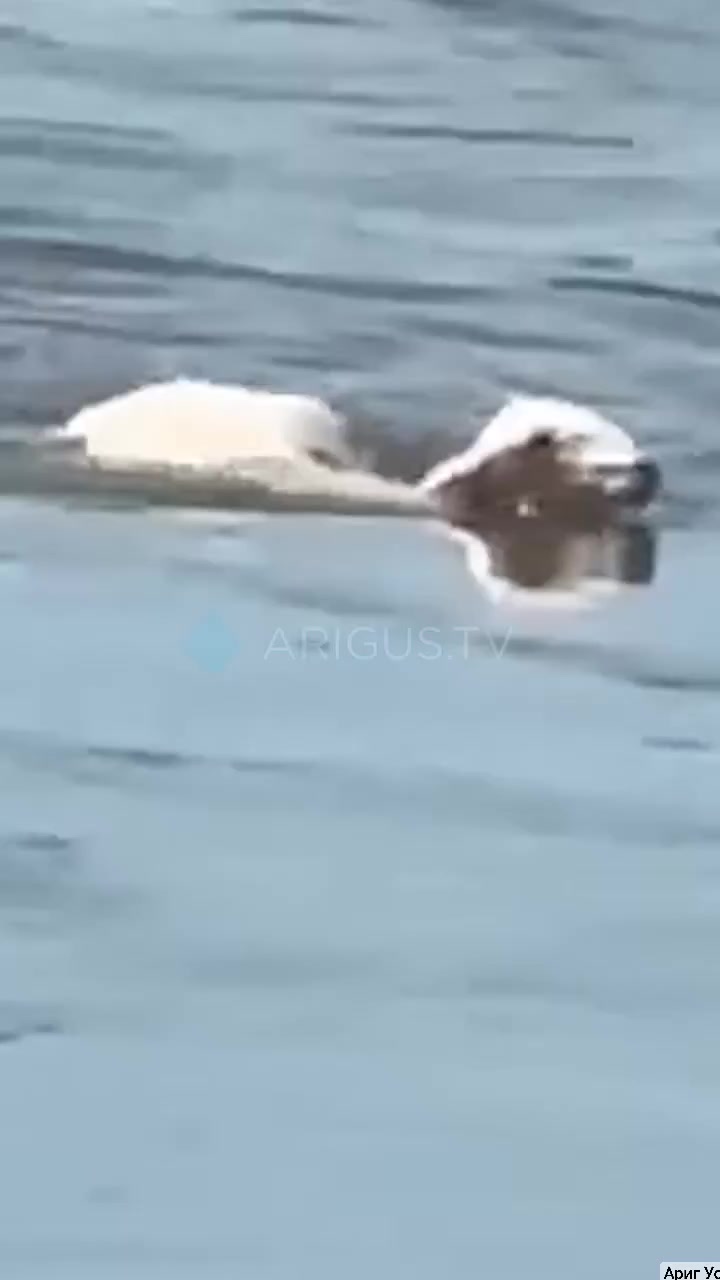 @Ольга03rus