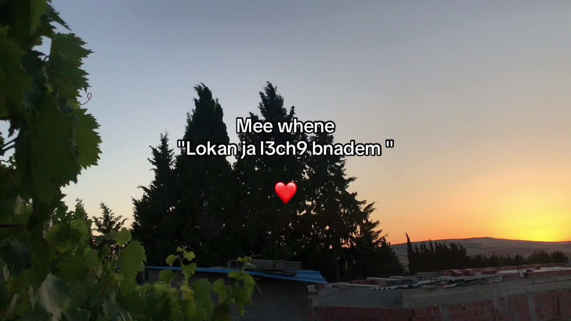 @0&euro; 🇩🇿🇫🇷