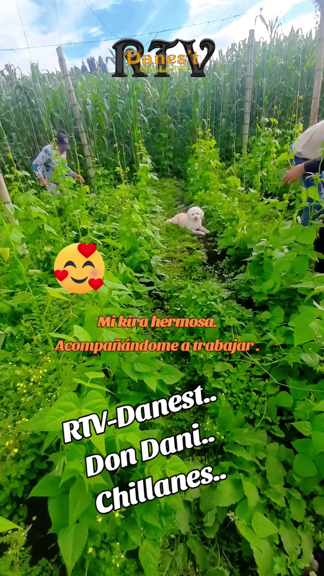 @Don Dani..Rtv-Danest.Chillanes