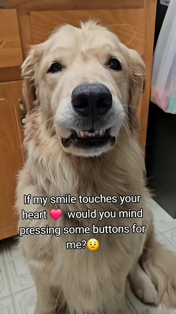 @🐶Griffin