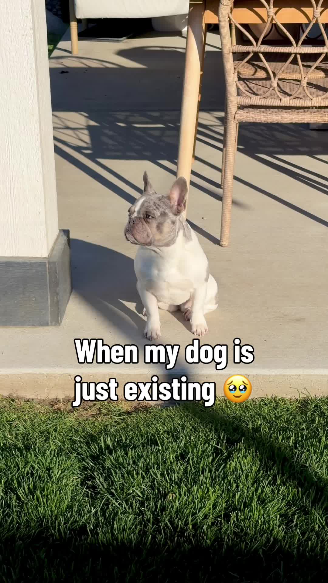 @josesit00000