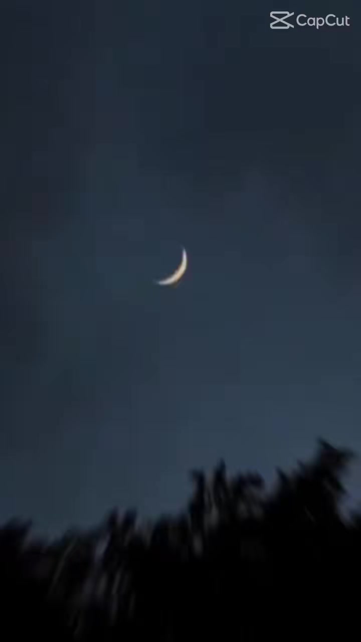 @Komal Murtaza