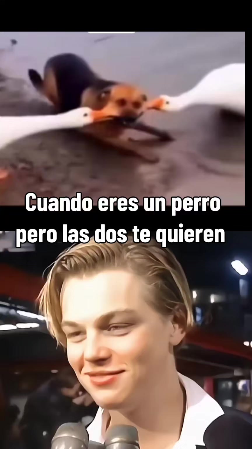 @viajero