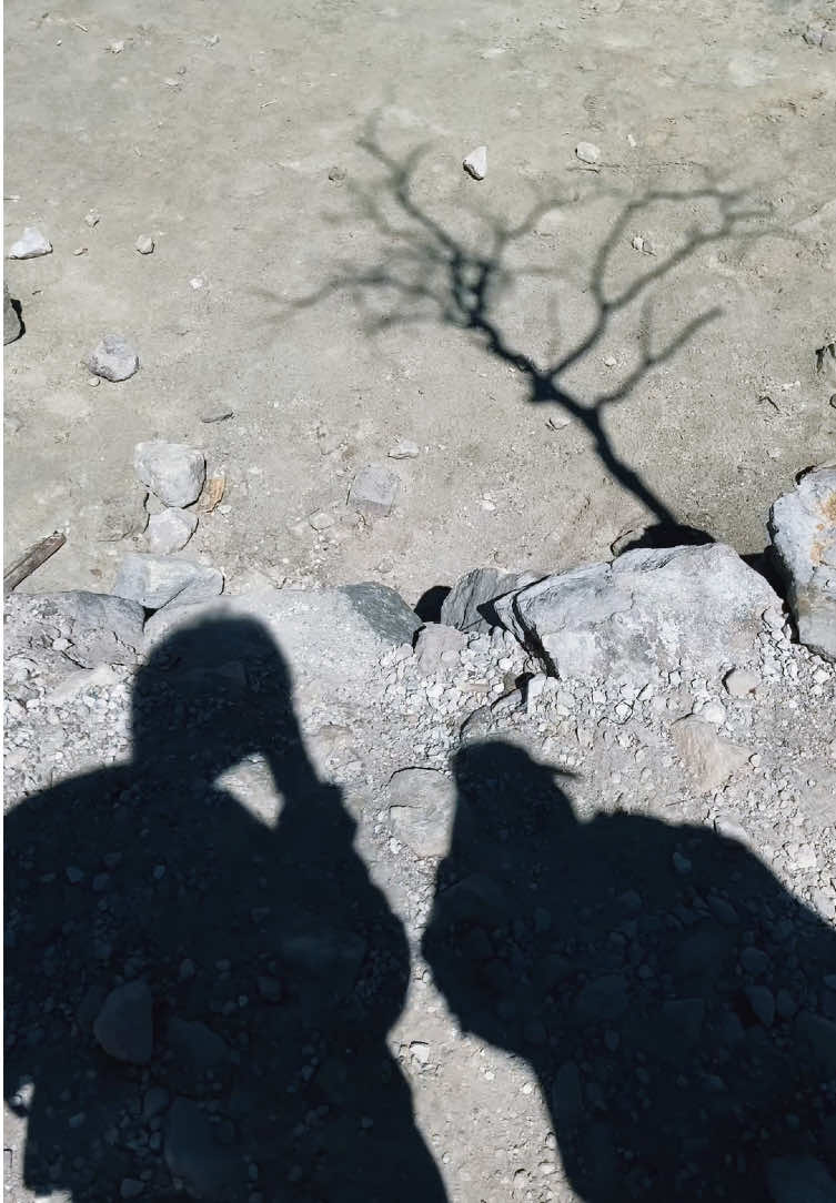 @xxyzall