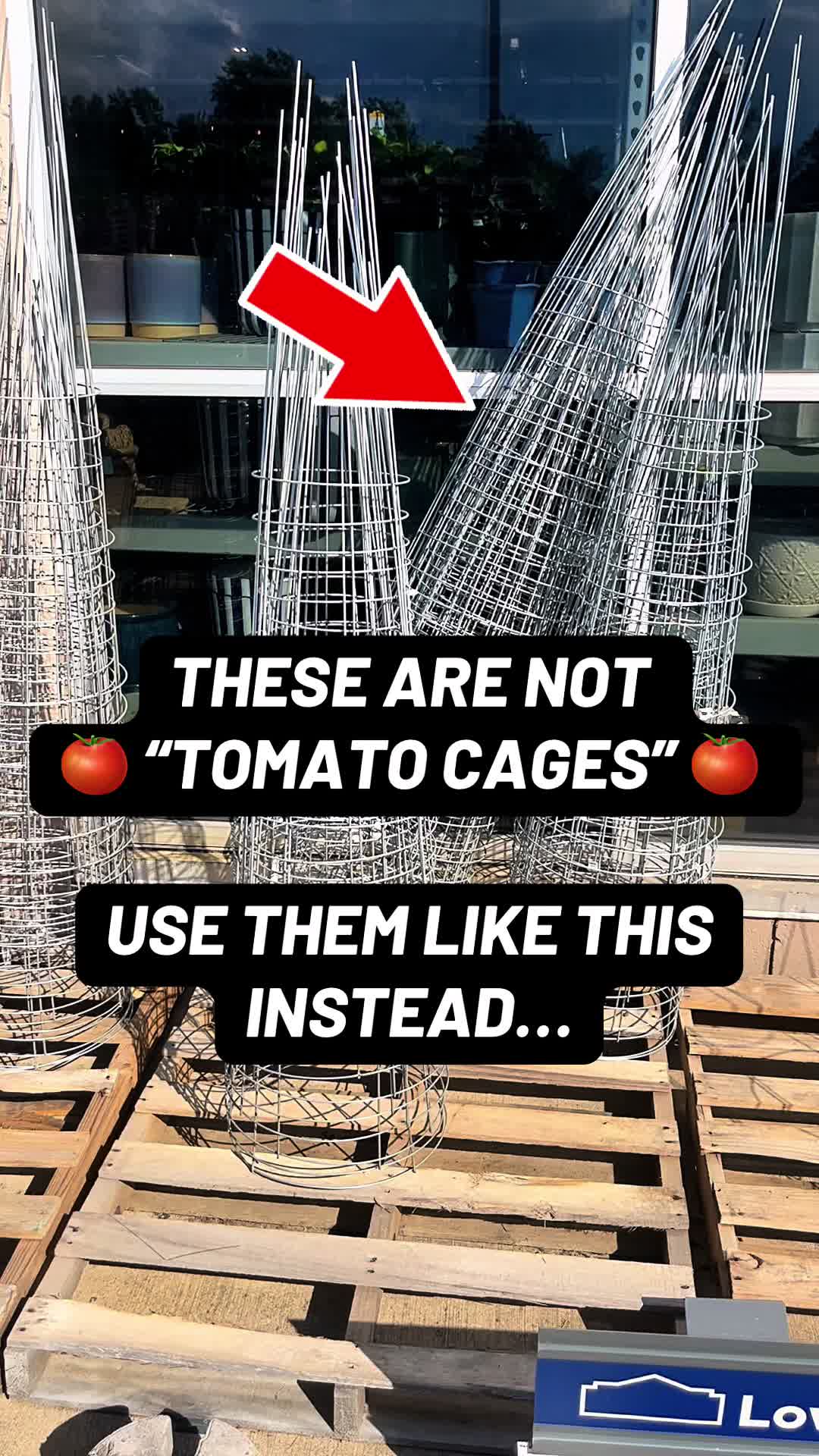 @TheFruitfulFoodscape