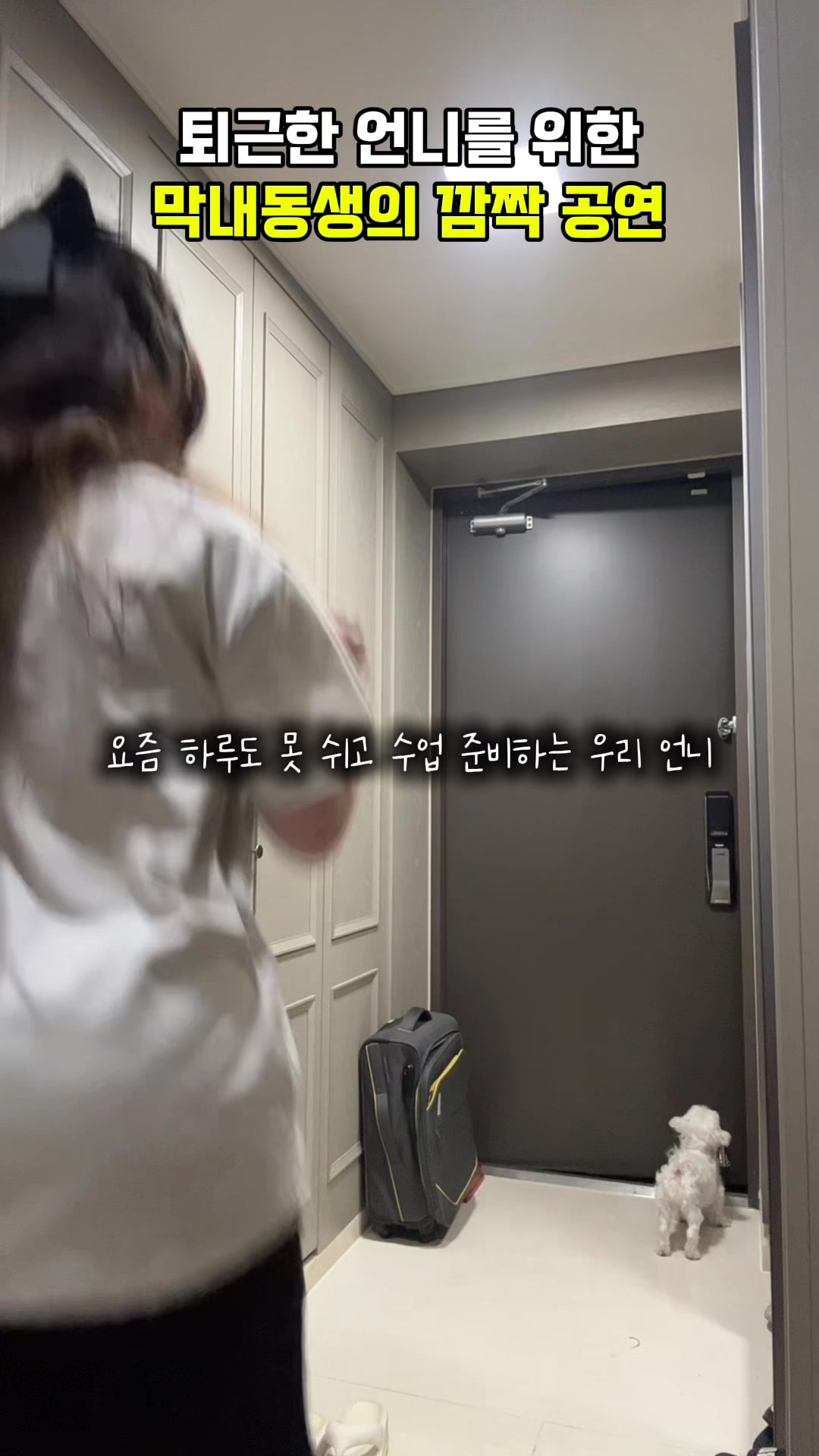 @Ariใใ์๋ฆฌ๐ต๐บ