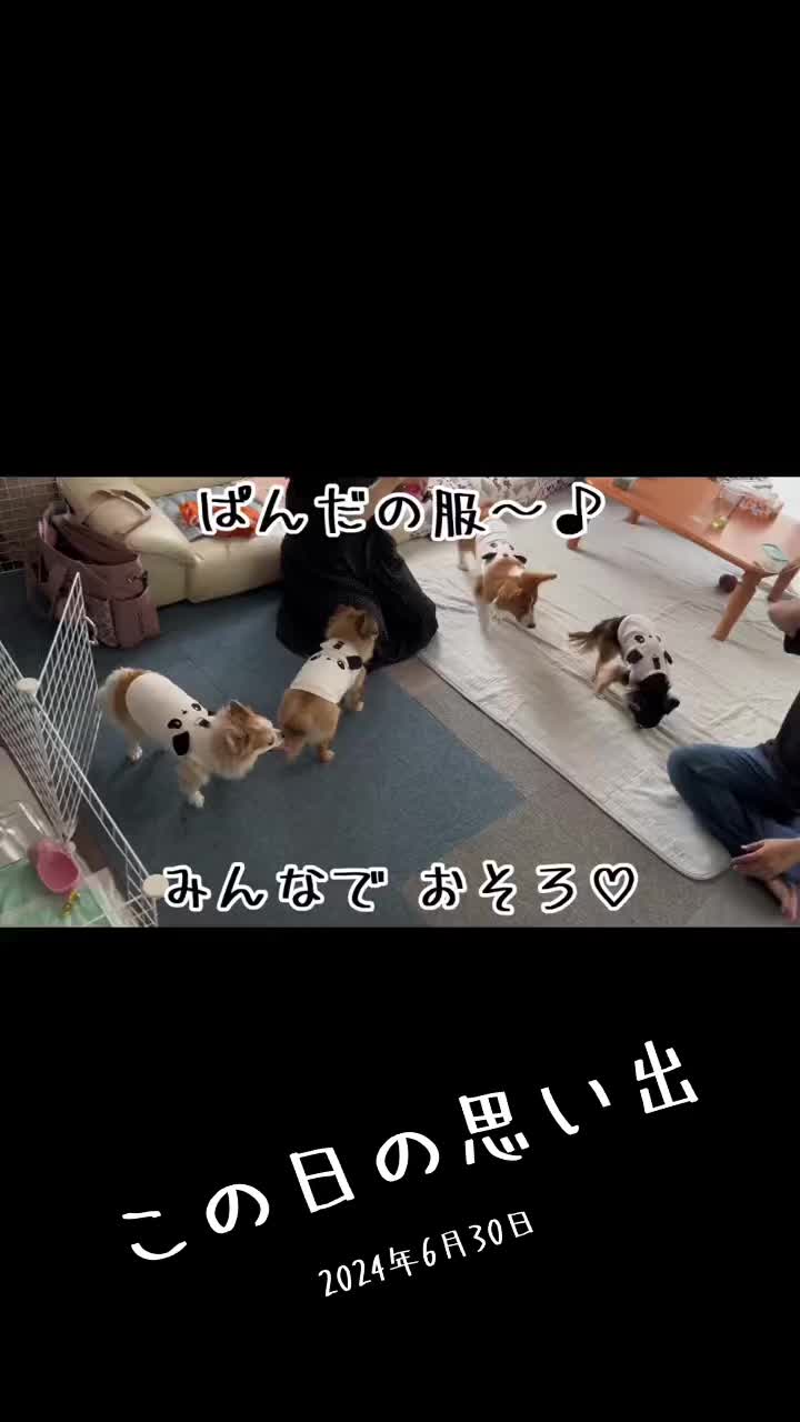 @みこぽん🌻🌻
