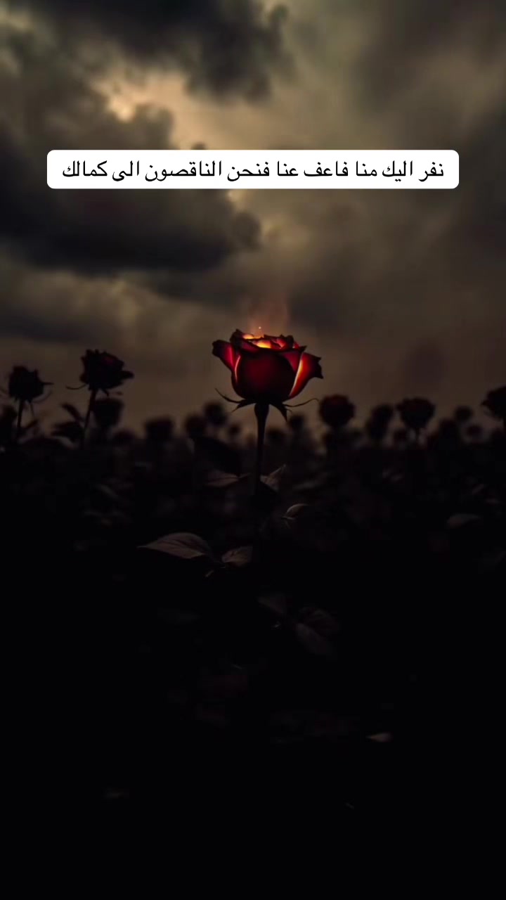 @أسرار سورة البقرة