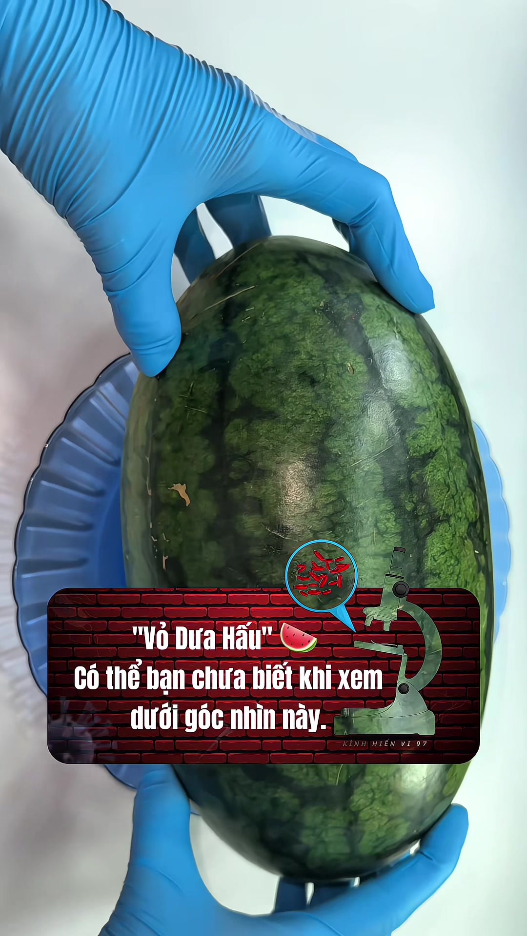 @Kính hiển vi 97