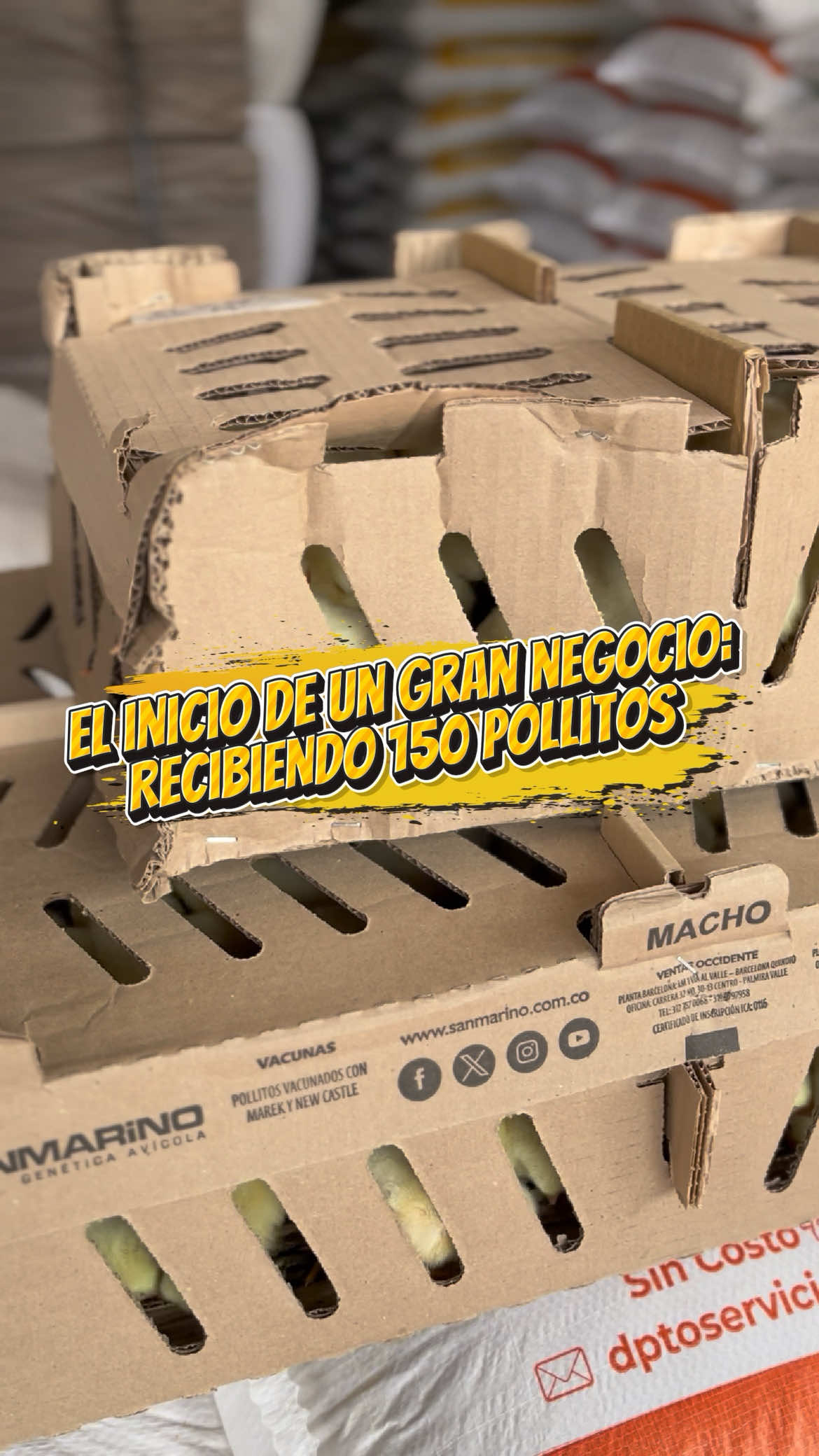 @elmagnatedelospollos