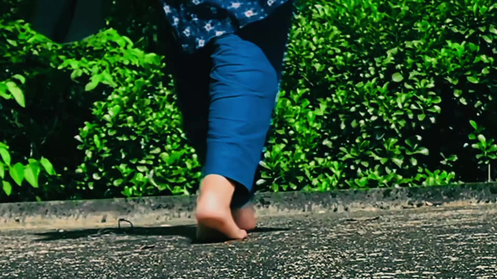 @✦ 𝐍𝐨 𝐃𝐫𝐚𝐦𝐚 ✦