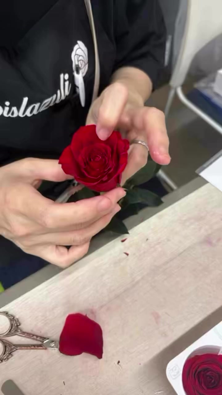 @lapislazuli19721112
