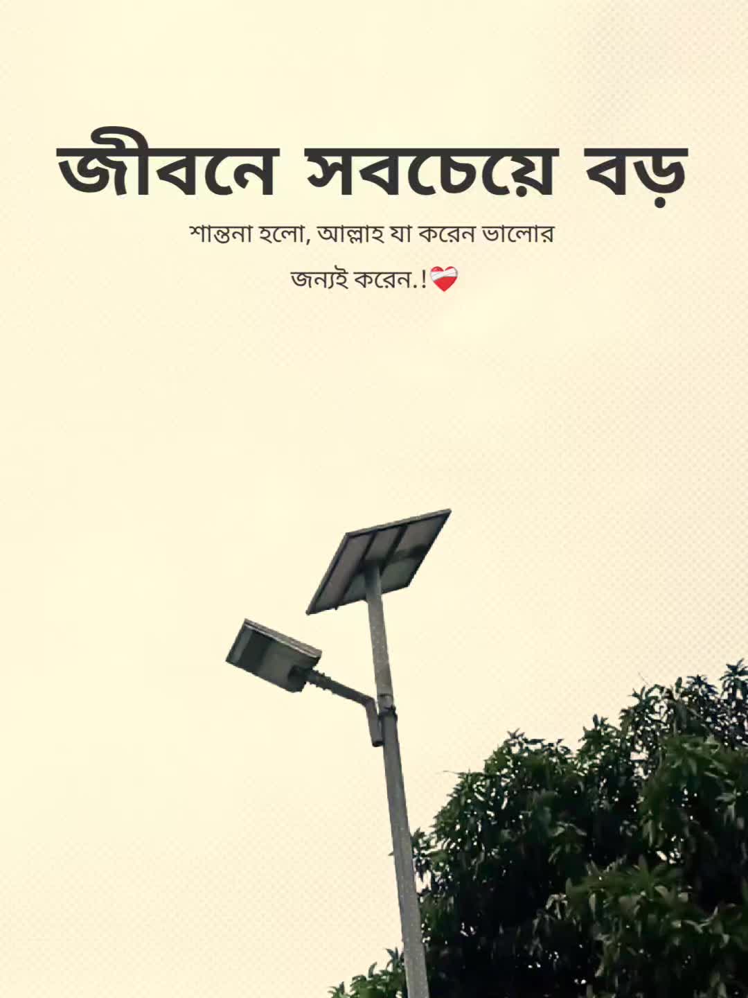 @꧁⭑শেষ পৃষ্ঠা⭑꧂