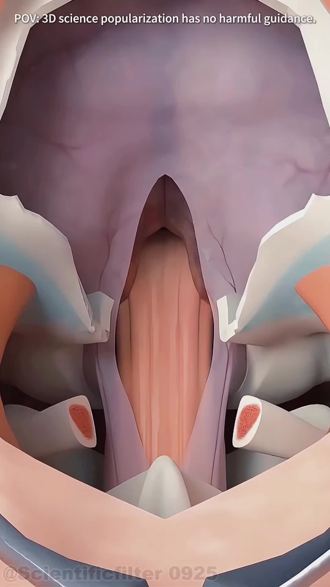@Scientificfilter_0925