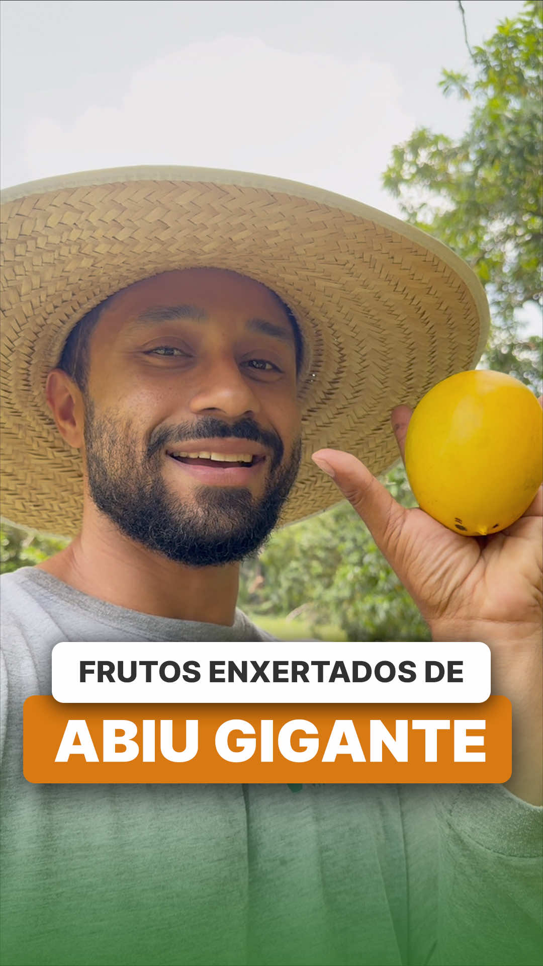 @ViveiroProMudas