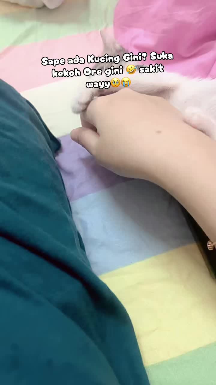 @๐โ๐ฆ๐ฅ๐๐ฃ๐ ๐ด๐ผ๐ผ๐ฐ๐๐