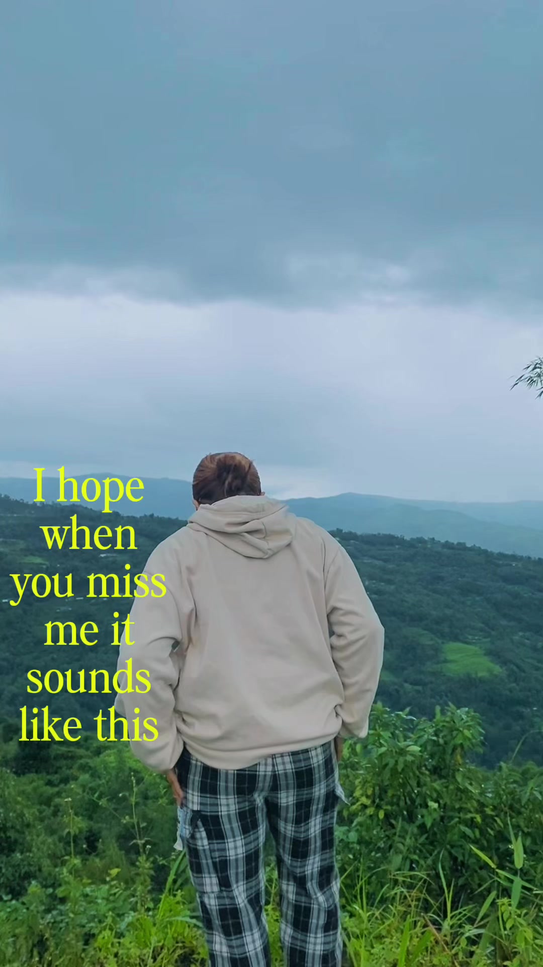 @🦋
