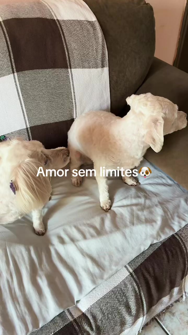 @Mahhelena