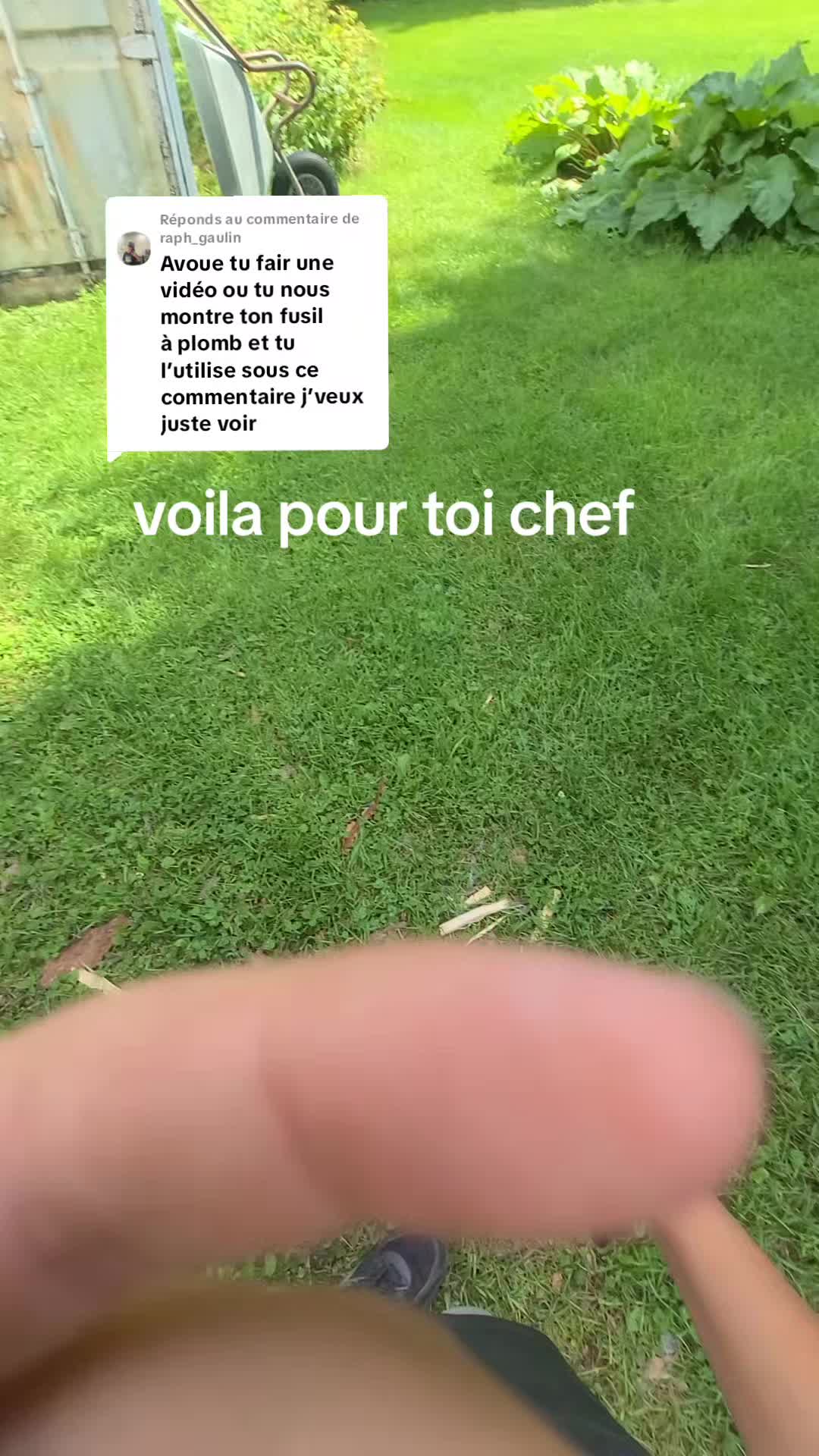 @le zk