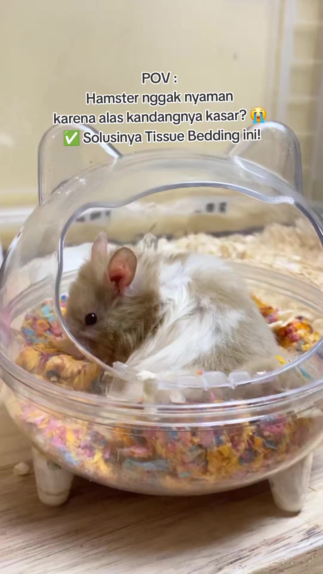 @TamaGo Pet