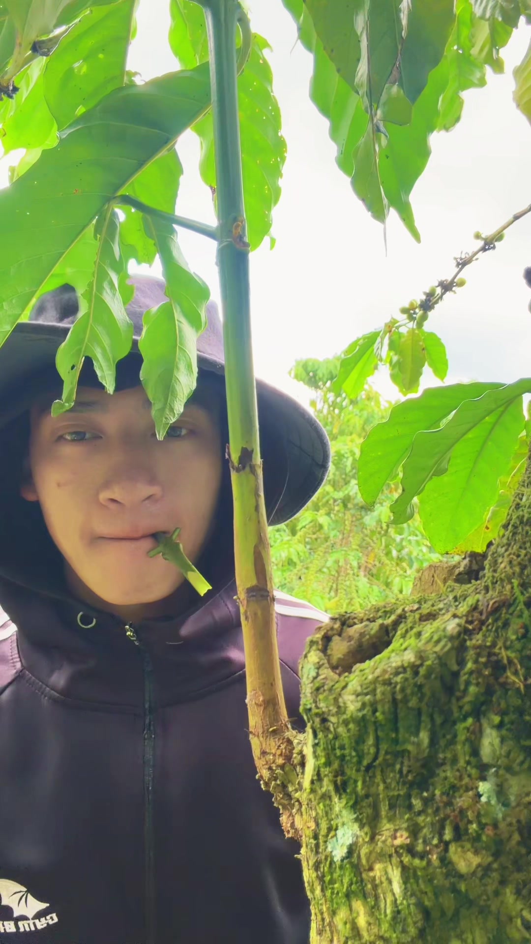 @Trần Tân